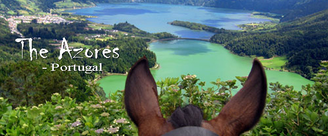 Horseback riding in the Azores, Portugal