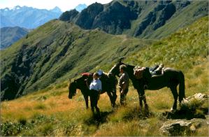 nz-backsaddle.jpg (17334 bytes)