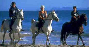 Riding at Pakiri