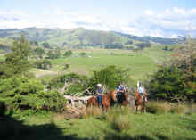 Trans New Zealand Ride - Coast to Coast