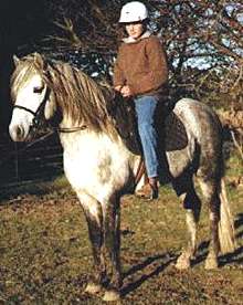 Stoney being ridden by 13-year-old James