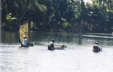 Boats