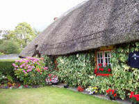 Thatched cottage Adare, County Limerick Thatched cottage Adare, County Limerick