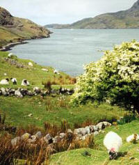 Killary Harbour, County Galway  (Photo: Marina Wright)