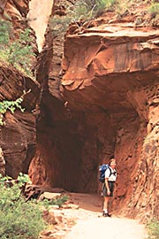 Grand Canyon Photo