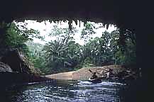 Caves Branch River.