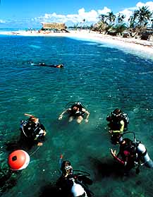 A beginning scuba course in progress on Long Caye.