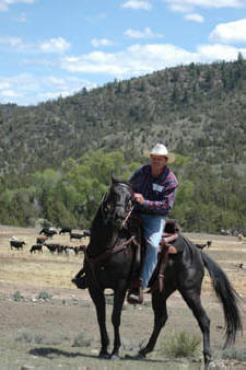 Photo by: Dave Reese/Montana Living