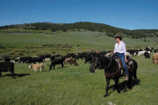Photo by: Dave Reese/Montana Living