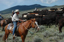 Photo by: Dave Reese/Montana Living
