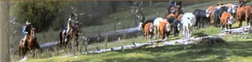 Wilderness Trails Ranch - a Colorado Guest Ranch