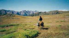 Colorado Horse Vacations