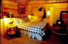 Durango cabin rentals at Wilderness Trails Ranch