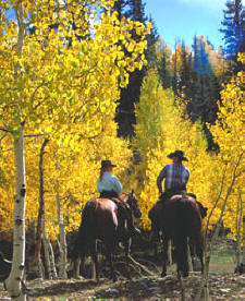 Colorado Dude Ranch Fall Colors
