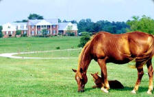Heartland of Georgia  SC Ranch