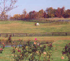 Blue Ridge Equestrian Escape - 3 nights