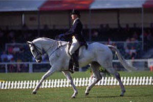 Debbie on Horse