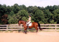 Debbie on Horse
