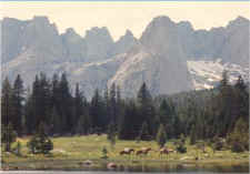 Bighorn Mountain Ranch Hideout