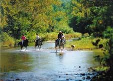 Ozarks Ranch Getaway