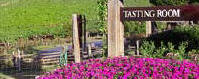 Wine Tasting
