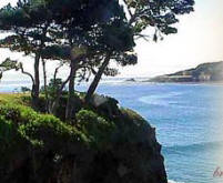 Welcome to the Mendocino Hotel and Garden Suites, located in Mendocino California