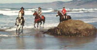 Cantering at the Beach