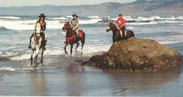 Redwood Coast Ride