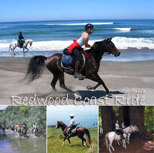 California - Redwood Coast Ride with Hidden Trails
