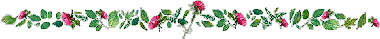Flower divider.