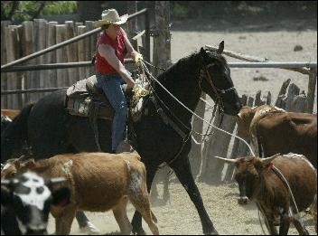 Gila Cowgirl Camp
