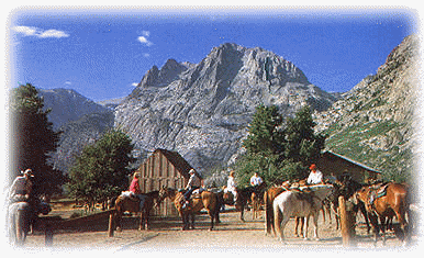 Yosemite Expedition Pack Trip