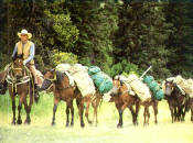 Bob Marshall Wilderness Pack Trips
