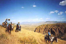 Gila Wilderness Working Ranch
