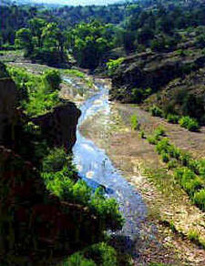 Gila Wilderness Nature Expedition