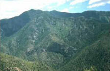 Photograph taken in the Blue Range Wilderness