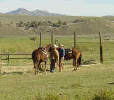 Bucking S Ranch
