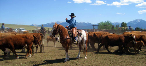 Cowboy Vacation in Western Canada - Guest Ranch