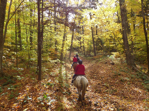 Vermont Horse Riding Tour Equestrian Clinic USA - RidingClinic