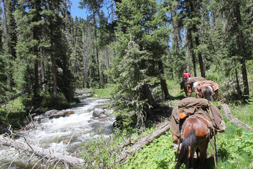 New Mexico Equestrian Vacations Gila Wilderness USA