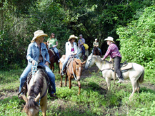 Trailblazer Jungle Ride