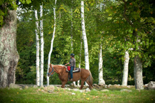 vermont mountain equestrian clinic riding usa getaway vacations inn equitrekking vt