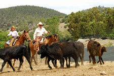trips for horse lovers